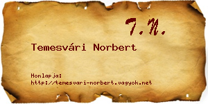 Temesvári Norbert névjegykártya
